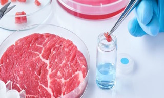 Лабораторный анализ пищевых продуктов по СанПиН в Хабаровске в октябре