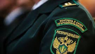 Подготовка к проверке Росприроднадзора в Хабаровске от ПромМир, стоимость услуги от 20576 руб.